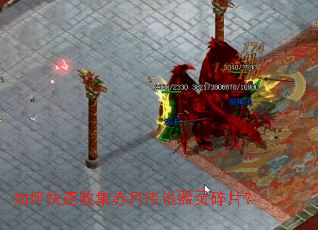 ��ο����ռ����´�˵������Ƭ��