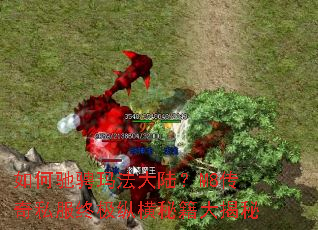 ��γ۳��귨��½��M8����˽���ռ��ݺ��ؼ������