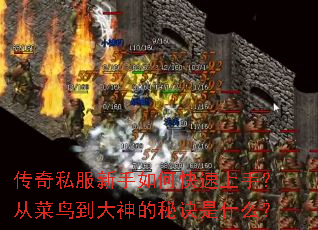 ����˽��������ο������֣��Ӳ��񵽴�����ؾ���ʲô��