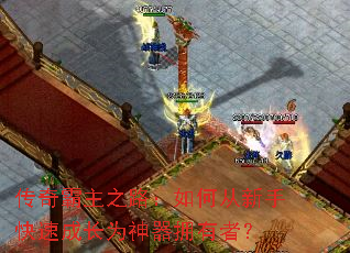 �������֮·����δ����ֿ��ٳɳ�Ϊ����ӵ���ߣ�