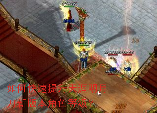 如何快速提升天涯明月刀新版本角色等级? 如何快速提升天涯明月刀新版本角色等级?