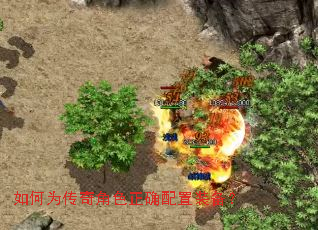 ���Ϊ�����ɫ��ȷ����װ����