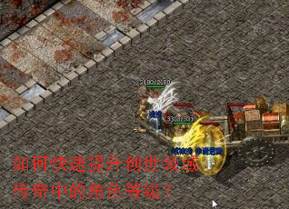 ��ο������������������еĽ�ɫ�ȼ���