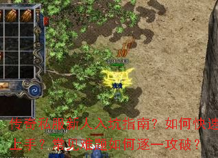 ����˽���������ָ�ϣ���ο������֣��������������һ���ƣ�