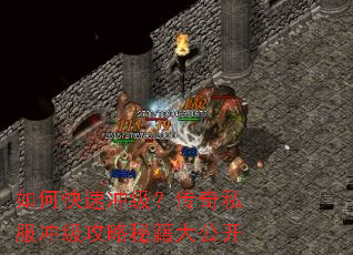 ��ο��ٳ弶������˽���弶�����ؼ��󹫿�