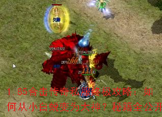 1.85�ϻ�����˽���ռ����ԣ���δ�С���ɱ�Ϊ�����ؼ�ȫ����