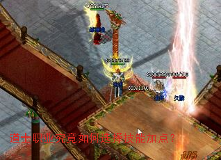 ��ʿְҵ�������ѡ���ܼӵ㣿