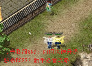 传奇私服SND:如何快速升级秒杀BOSS?新手必看攻略 传奇私服SND:如何快速升级秒杀BOSS?新手必看攻略