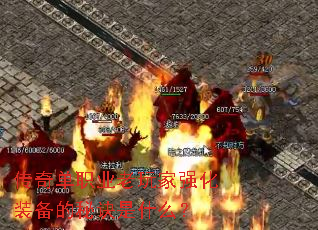 ���浥ְҵ�����ǿ��װ�����ؾ���ʲô��