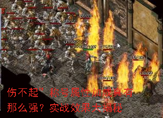 �˲��𡱳ƺ����Լӳ�������ôǿ��ʵսЧ�������