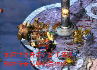 ��ο���������������ս��Ѫ����˽���ؿ�����