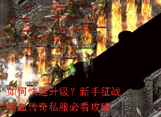 ��ο���������������ս��Ѫ����˽���ؿ�����