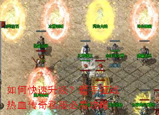 ��ο���������������ս��Ѫ����˽���ؿ�����