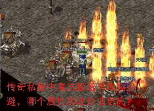 ����˽����ħ������붾���ܣ��ĸ�����ʵս��ֵ���ߣ�