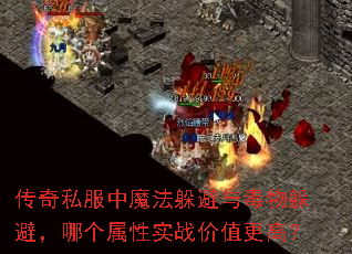 ����˽����ħ������붾���ܣ��ĸ�����ʵս��ֵ���ߣ�