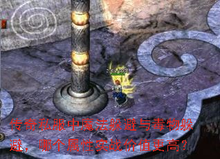 ����˽����ħ������붾���ܣ��ĸ�����ʵս��ֵ���ߣ�