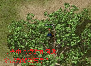 �����п�ݼ���������Ϊ��Ϸ���֣�