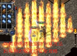 ��λ���ռ�����ӷ�Ʒ��������ɱ�����ȫ����