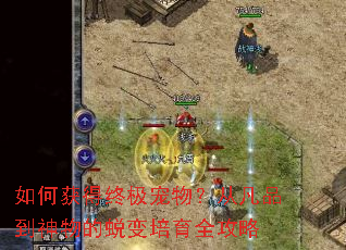 ��λ���ռ�����ӷ�Ʒ��������ɱ�����ȫ����