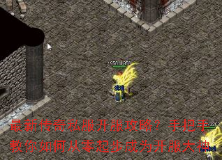 ���´���˽���������ԣ��ְ��ֽ�����δ����𲽳�Ϊ��������