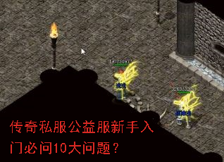 ����˽��������������ű���10�����⣿