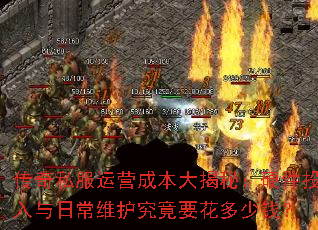 ����˽����Ӫ�ɱ�����أ�Ӳ��Ͷ�����ճ�ά������Ҫ������Ǯ��