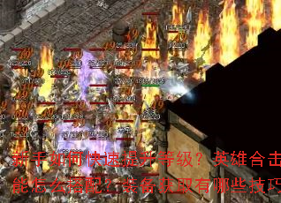 ������ο��������ȼ���Ӣ�ۺϻ�������ô���䣿װ����ȡ����Щ���ɣ�