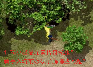 1.76С��ƷԪ�ش���˽�����������ǰ�����˽���Щ���⣿