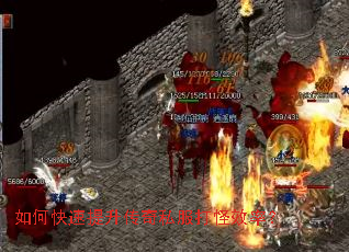 ��ο�����������˽�����Ч�ʣ�