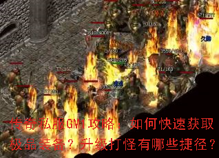 ����˽��GM1���ԣ���ο��ٻ�ȡ��Ʒװ���������������Щ�ݾ���