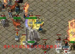 ��ʿΪ�γ�Ϊ���Ŵ��������ѡ��