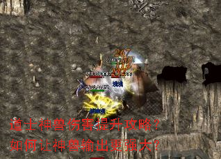 ��ʿ�����˺��������ԣ���������������ǿ��