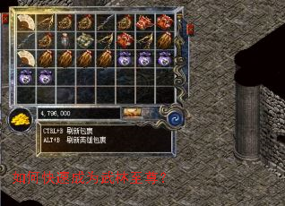 ��ο��ٳ�Ϊ��������