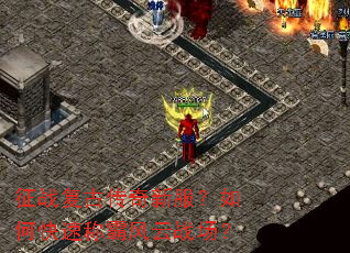 ��ս���Ŵ����·�����ο��ٳưԷ���ս����