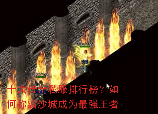 ʮ����˽�����а���γư�ɳ�ǳ�Ϊ��ǿ����