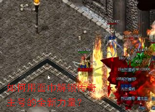 �������������������ŵ�ȫ��������