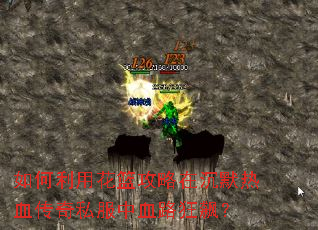 ������û��������ڳ�Ĭ��Ѫ����˽����Ѫ·��쭣�