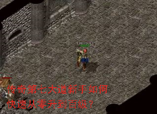 ������ߴ��������ο��ٴ��������ټ���