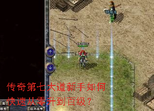 ������ߴ��������ο��ٴ��������ټ���