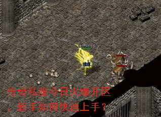 ����˽�����ջ𱬿�����������ο������֣�