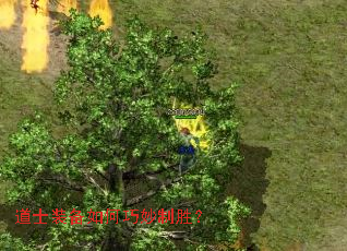 ��ʿװ�����������ʤ��