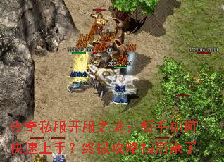 ����˽������֮�գ�������ο������֣��ռ�����ָ������