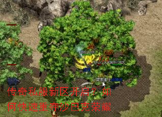 ����˽��������������ο����ض�ɳ�Ϳ���ҫ