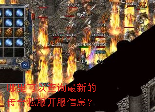 ������Բ�ѯ���µĴ���˽��������Ϣ��