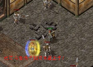 ����ϻ�������ο������֣�