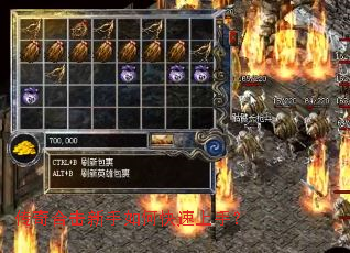 ����ϻ�������ο������֣�