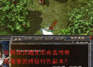 ��ι��˳���̬�ϻ�����˽������ռ���ɫ������