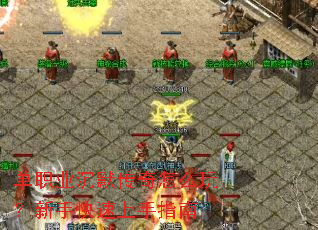 ��ְҵ��Ĭ������ô�棿���ֿ�������ָ��