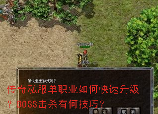����˽����ְҵ��ο���������BOSS��ɱ�кμ��ɣ�