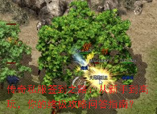 ����˽��ǩ��֮·�������ֵ����棬����ռ������ʴ�ָ�ϣ�